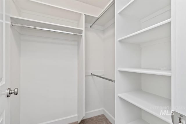 walk in closet with carpet flooring