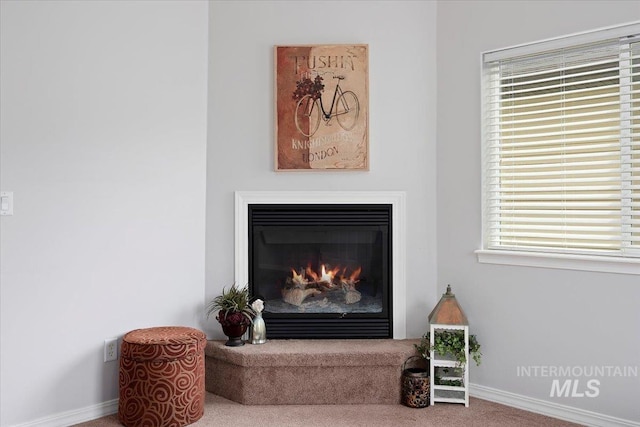 182 New Hampshire Way, Twin Falls, ID 83301 - detailed view of a glass covered fireplace, baseboards, and carpet
