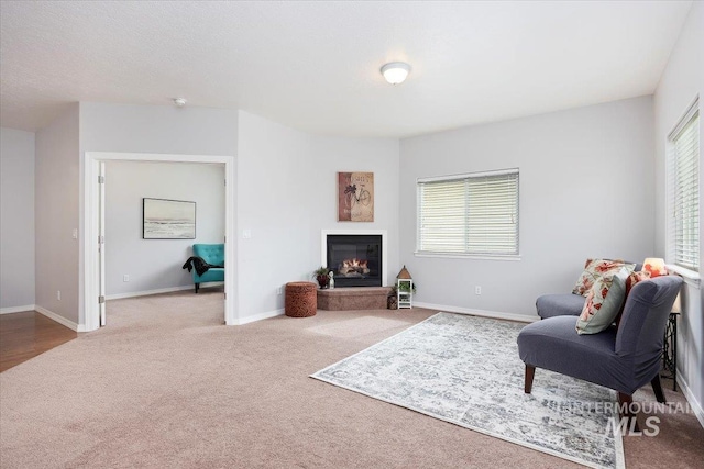 182 New Hampshire Way, Twin Falls, ID 83301 - sitting room with carpet floors, a glass covered fireplace, and baseboards