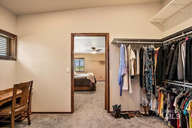 walk in closet featuring carpet flooring and a ceiling fan