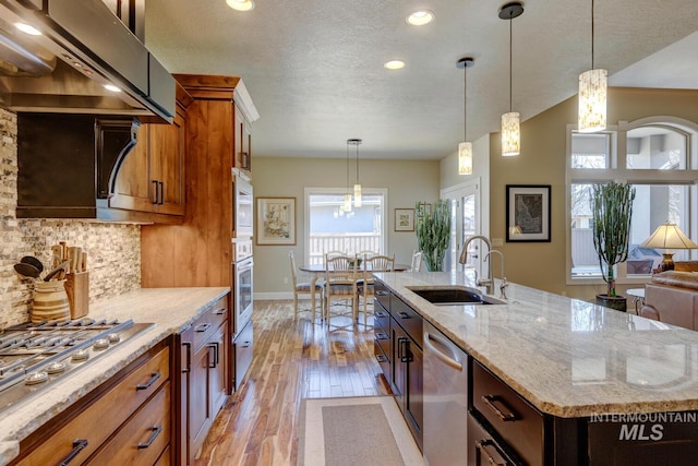 kitchen featuring backsplash, appliances with stainless steel finishes, light wood-style floors, a sink, and exhaust hood