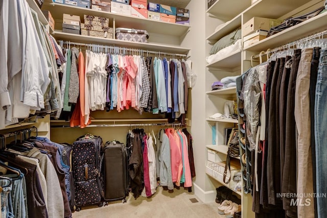 spacious closet featuring carpet