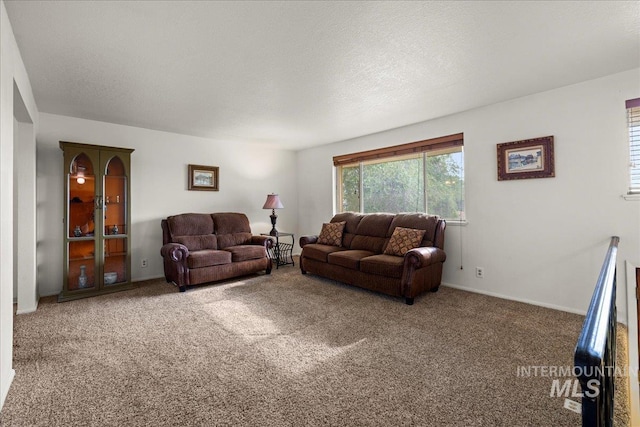 living room featuring a textured ceiling and carpet