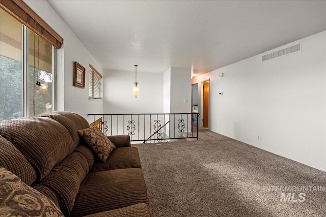 living room with carpet floors