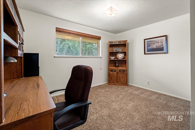 carpeted office space with a textured ceiling