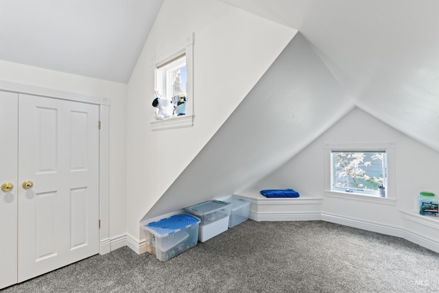 1416 N 13th St, Boise, ID 83702 - bonus room with carpet, a wealth of natural light, and lofted ceiling