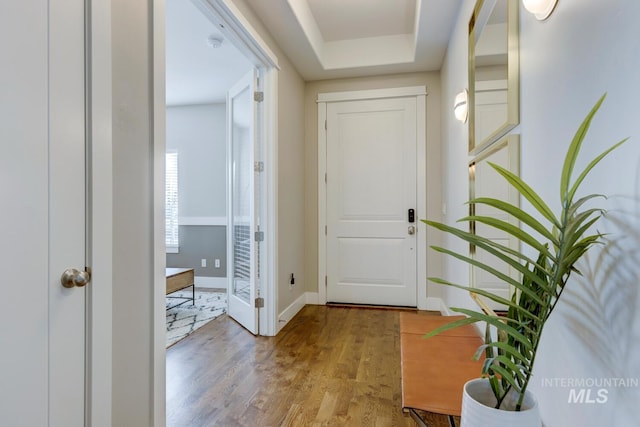 foyer featuring wood-type flooring