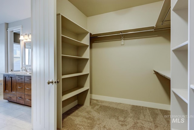 walk in closet with sink and light carpet