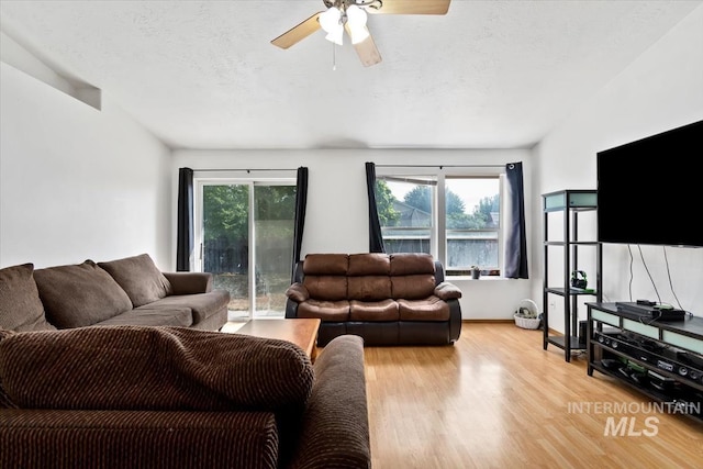 living room with ceiling fan, a textured ceiling, and light hardwood / wood-style flooring