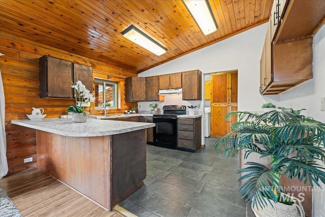 9 Elderberry Cir, Idaho City, ID 83631 - kitchen with electric range, lofted ceiling, light countertops, a peninsula, and under cabinet range hood