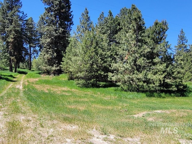 607/611 S Main St, Cascade, ID 83611 - view of undeveloped land