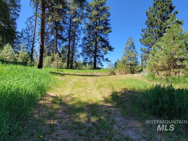 607/611 S Main St, Cascade, ID 83611 - view of undeveloped land