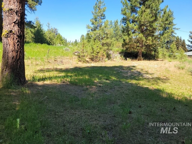 607/611 S Main St, Cascade, ID 83611 - view of yard