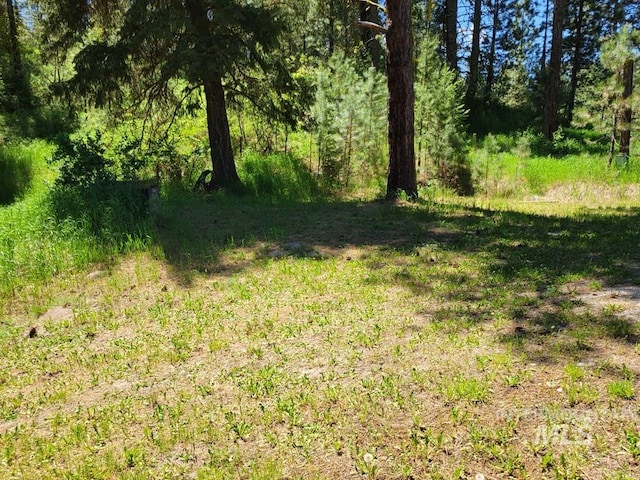 607/611 S Main St, Cascade, ID 83611 - view of local wilderness