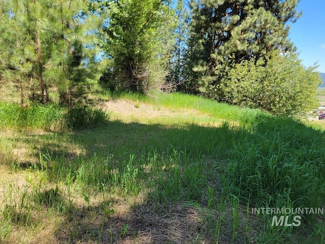 607/611 S Main St, Cascade, ID 83611 - view of local wilderness