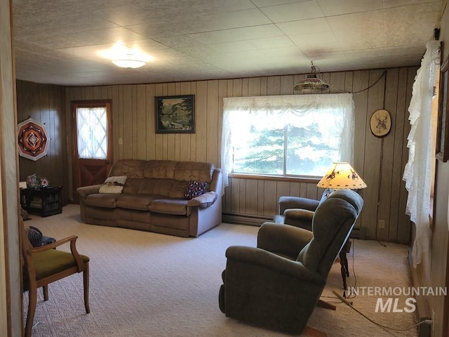 607/611 S Main St, Cascade, ID 83611 - living room with carpet flooring, wooden walls, and a baseboard heating unit