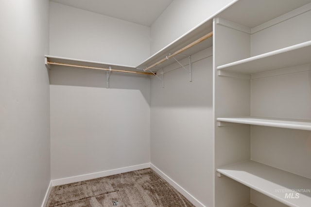 spacious closet featuring carpet floors and attic access