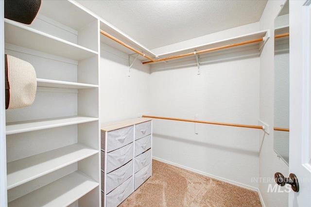 3017 S Windstream Ln, Boise, ID 83706 - spacious closet with light carpet