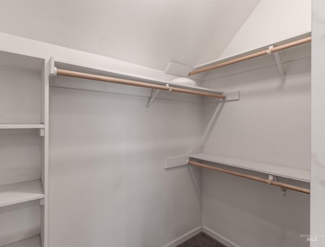 view of walk in closet