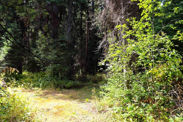 2325 W Mountain Rd, Donnelly ID, 83615 land for sale