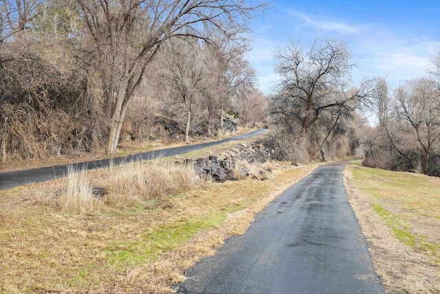 view of road