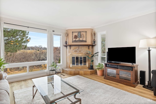 living area featuring ornamental molding, a fireplace, and wood finished floors