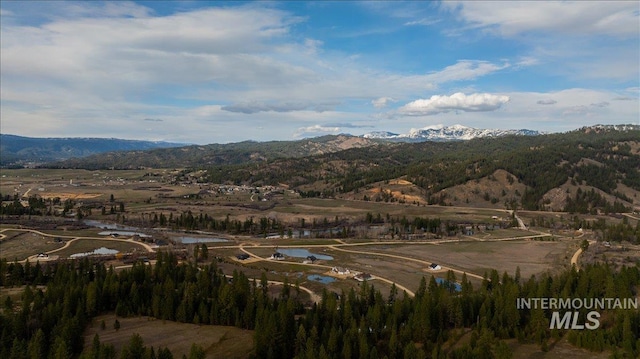 view of mountain feature