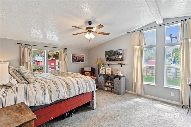 22969 Bumble Bee, Middleton, ID 83644 - bedroom featuring lofted ceiling, a textured ceiling, light colored carpet, baseboards, and access to outside