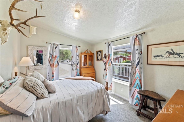22969 Bumble Bee, Middleton, ID 83644 - carpeted bedroom featuring vaulted ceiling, a textured ceiling, and baseboards