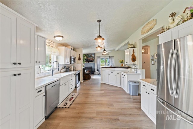 22969 Bumble Bee, Middleton, ID 83644 - kitchen with appliances with stainless steel finishes, a sink, plenty of natural light, light wood finished floors, and a textured ceiling