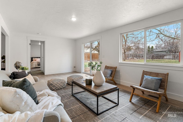 living room featuring wood finished floors, baseboards, and a textured ceiling