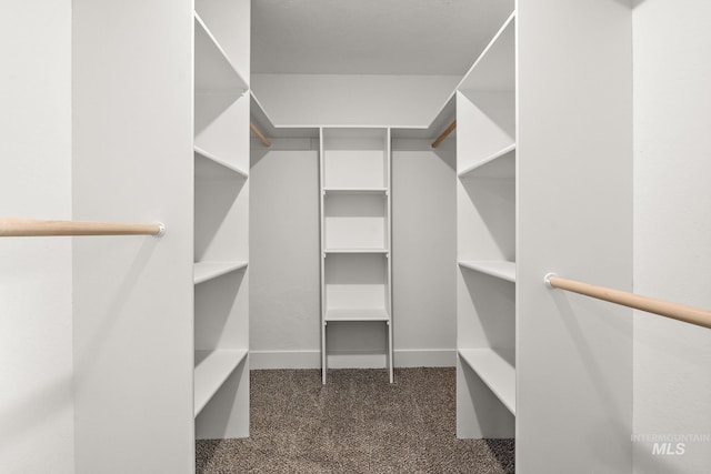 walk in closet featuring dark carpet