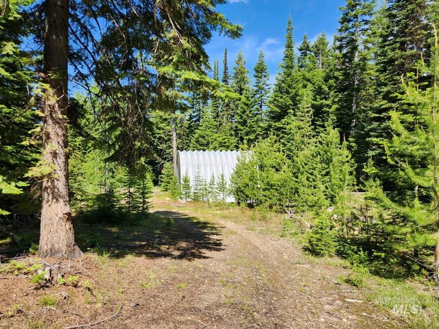 524 Rhett Creek Rd, Dixie, ID 83525 - view of tree filled area