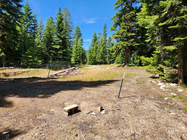 524 Rhett Creek Rd, Dixie, ID 83525 - view of woods
