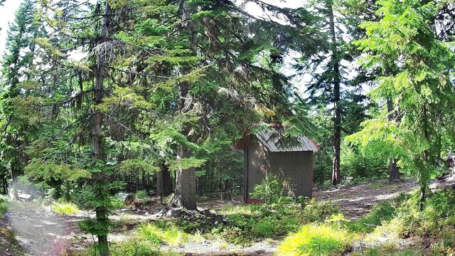524 Rhett Creek Rd, Dixie, ID 83525 - view of yard with a shed and an outbuilding