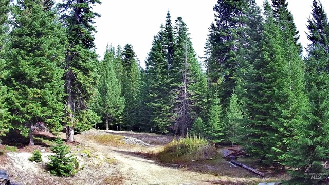 524 Rhett Creek Rd, Dixie, ID 83525 - view of mountain background with a forest