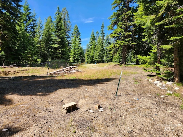 524 Rhett Creek Rd, Dixie, ID 83525 - view of yard with a view of trees