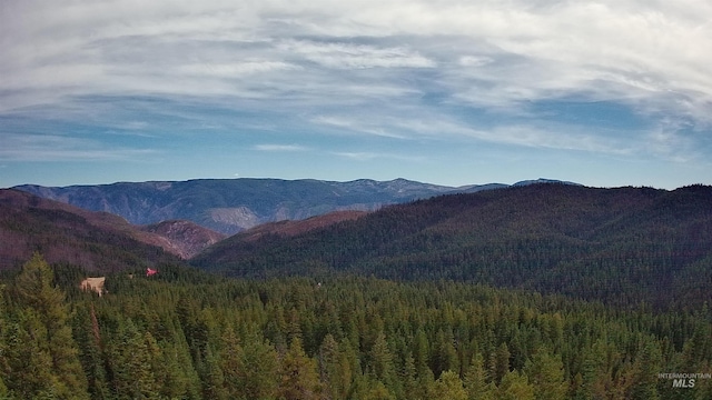 524 Rhett Creek Rd, Dixie, ID 83525 - mountain view with a heavily wooded area