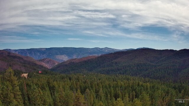 524 Rhett Creek Rd, Dixie, ID 83525 - mountain view with a heavily wooded area