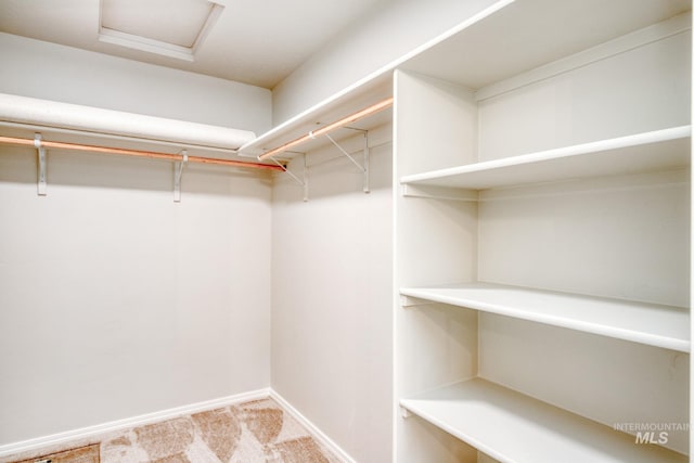 spacious closet featuring attic access and light colored carpet