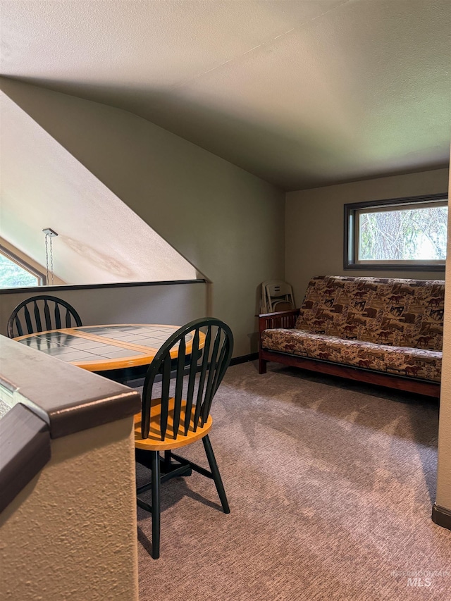 carpeted bedroom with lofted ceiling, multiple windows, and a textured ceiling