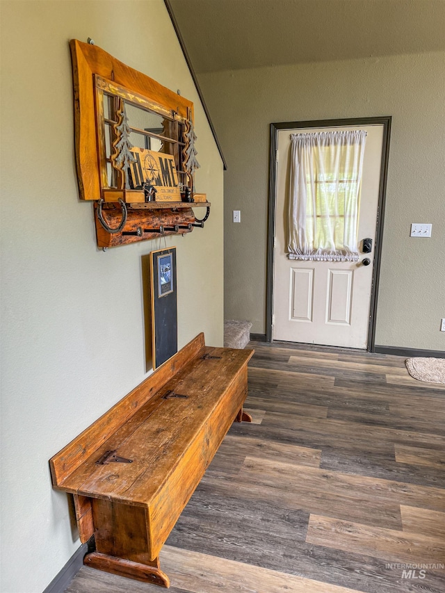 entryway with dark hardwood / wood-style flooring