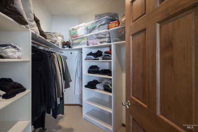 732 Morning Star Rd, Sun Valley, ID 83353 - walk in closet with light colored carpet