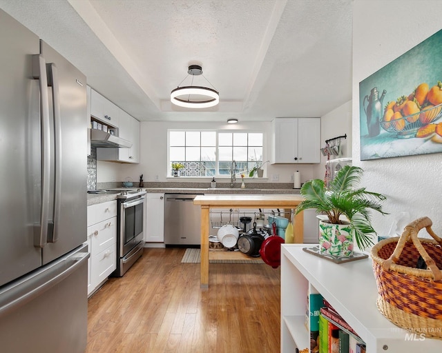 kitchen with light wood finished floors, stainless steel appliances, under cabinet range hood, a textured ceiling, and a raised ceiling