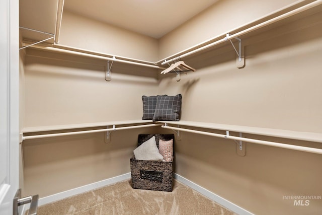 spacious closet featuring light carpet