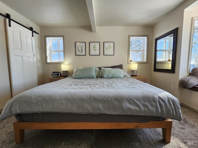 bedroom featuring carpet flooring, beamed ceiling, multiple windows, and a barn door