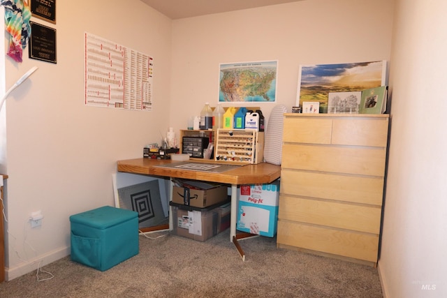 office with carpet floors and baseboards