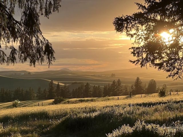 view of local wilderness featuring a rural view and a mountain view