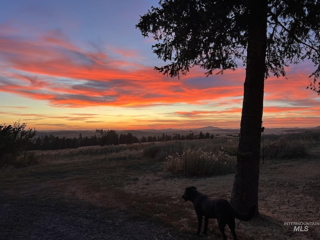 nature at dusk with a mountain view and a rural view