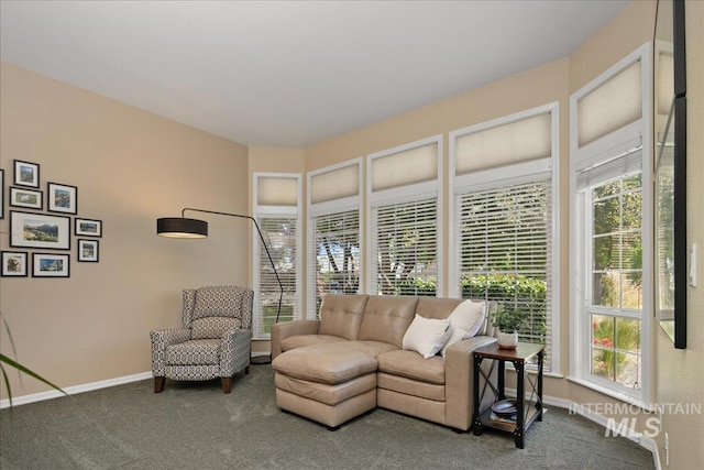 1049 N Purple Sage Way, Eagle, ID 83616 - carpeted living area with healthy amount of natural light